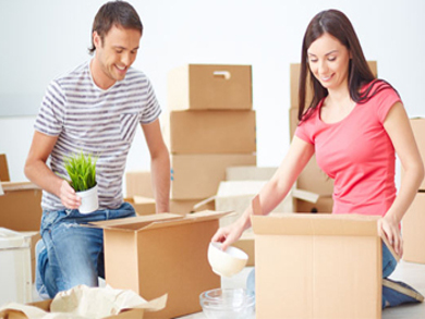 Top Packers and Movers Moshi