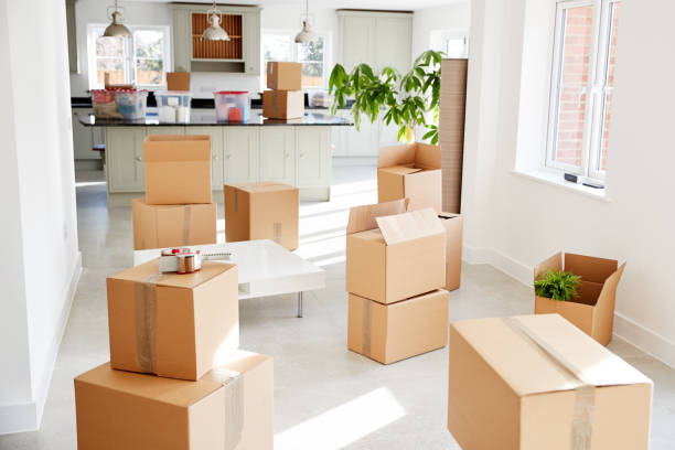 Domestic Packers And Movers Pune